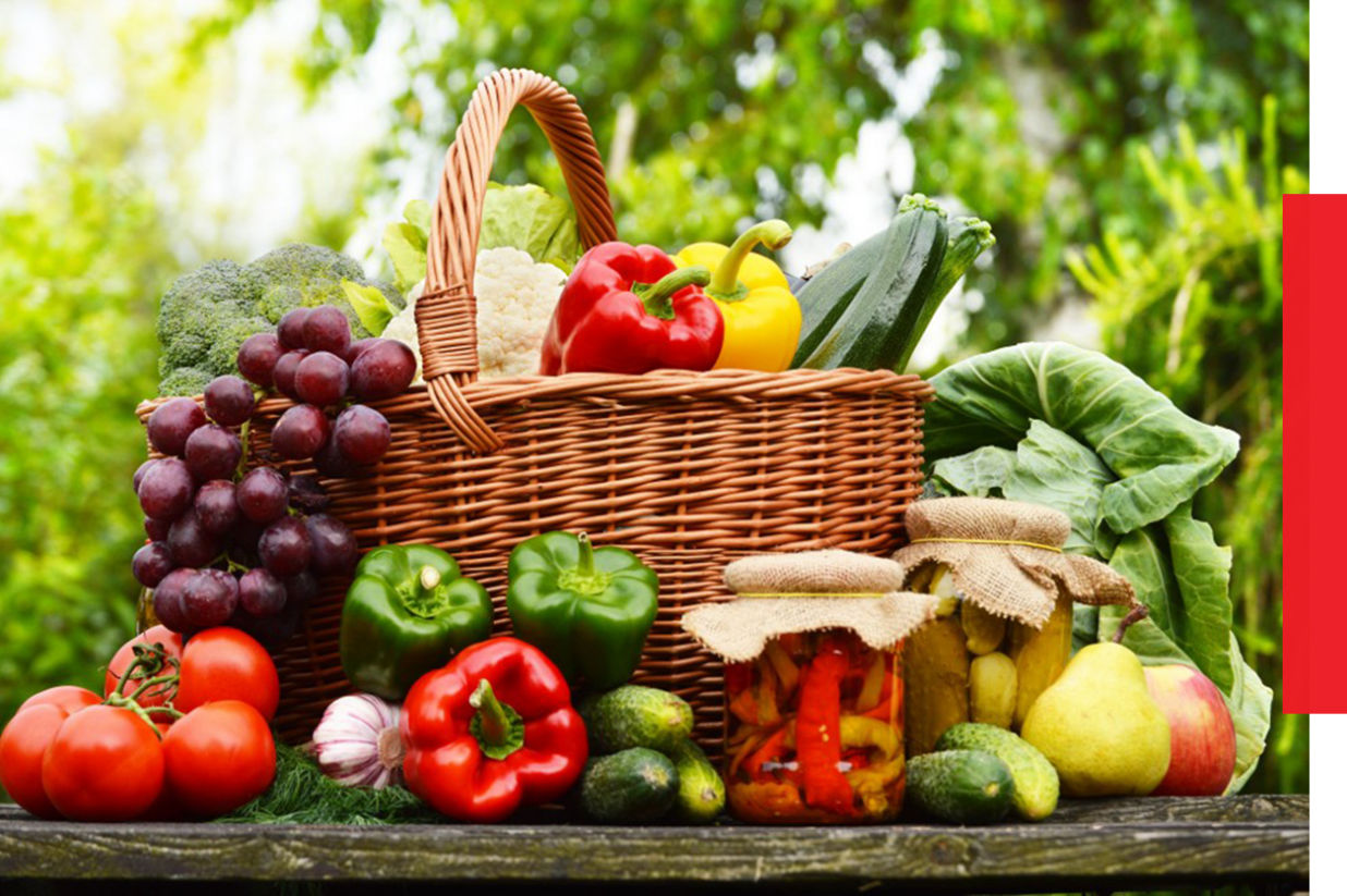 Give Me 5  |  You are what you eat, simple